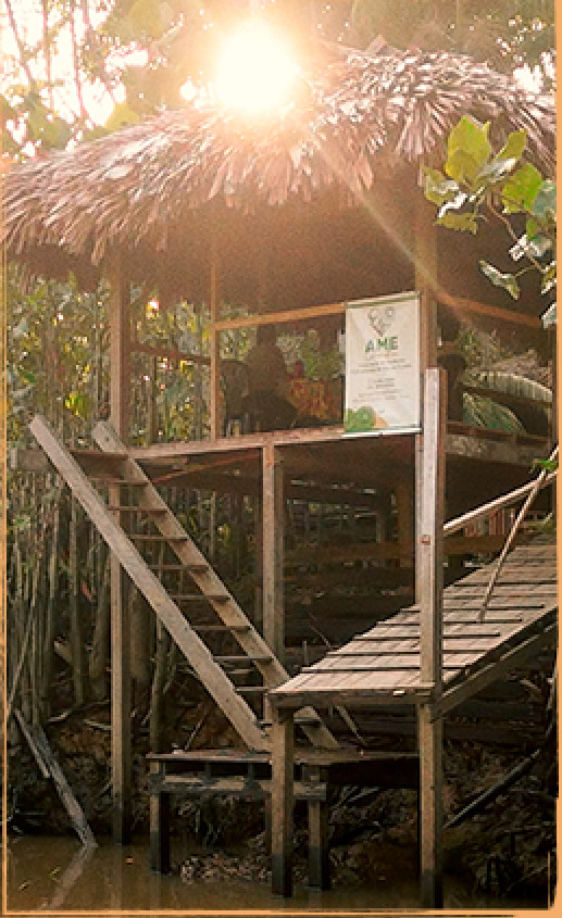 Turismo de base comunitária na APA da Ilha do Combú